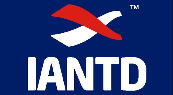 logo iantd